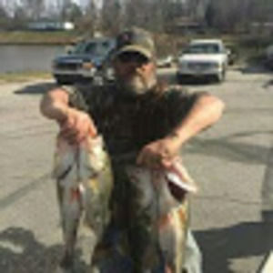 Meet your Posher, Timmy